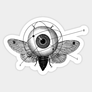 Big brother's eye Sticker